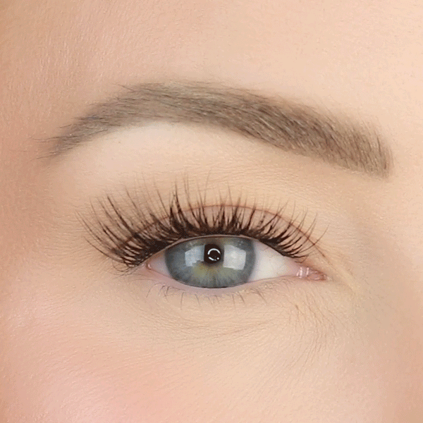 lashsense-lashes-bloom-box