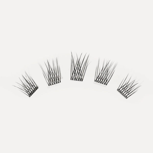 lashsense-lashes-bloom-box